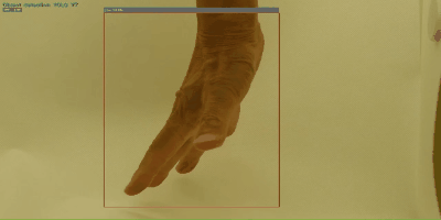 jankenn_tet2.gif