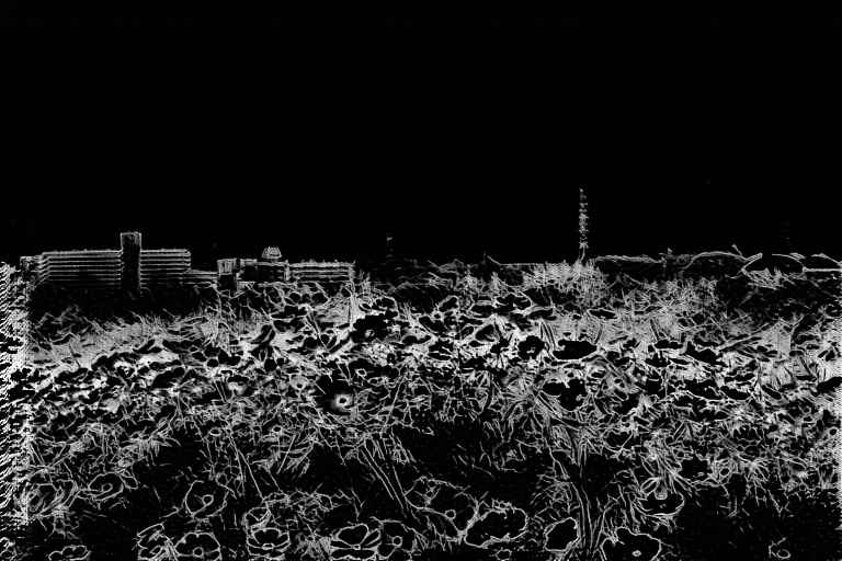 sdm_00037_2842737174-lineart_m.jpg