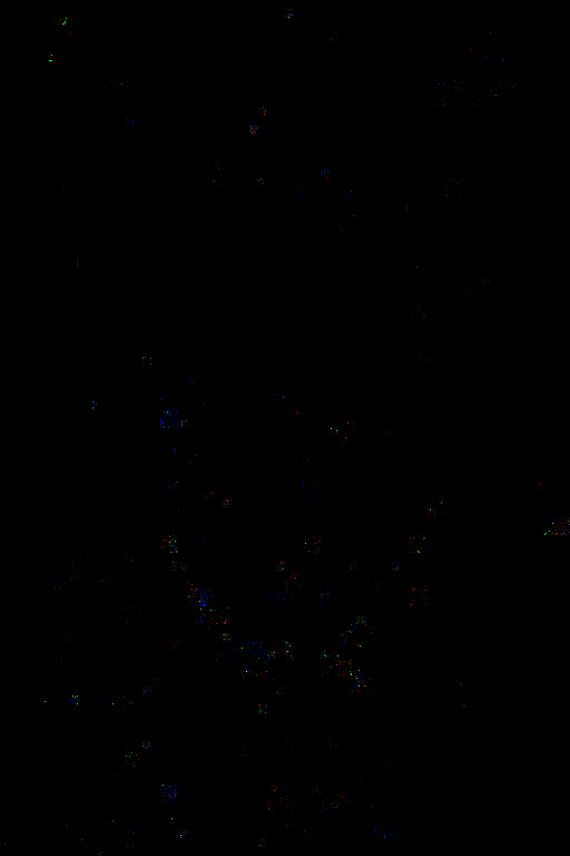 def_LAT_00007.png