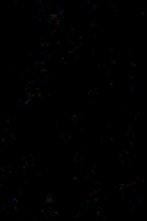def_LAT_00010.png