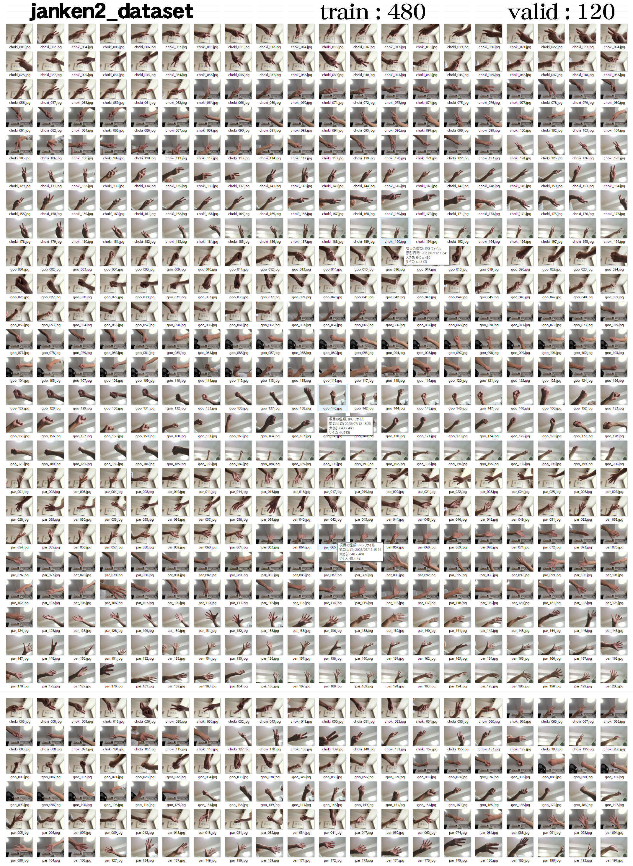 janken2_dataset.jpg