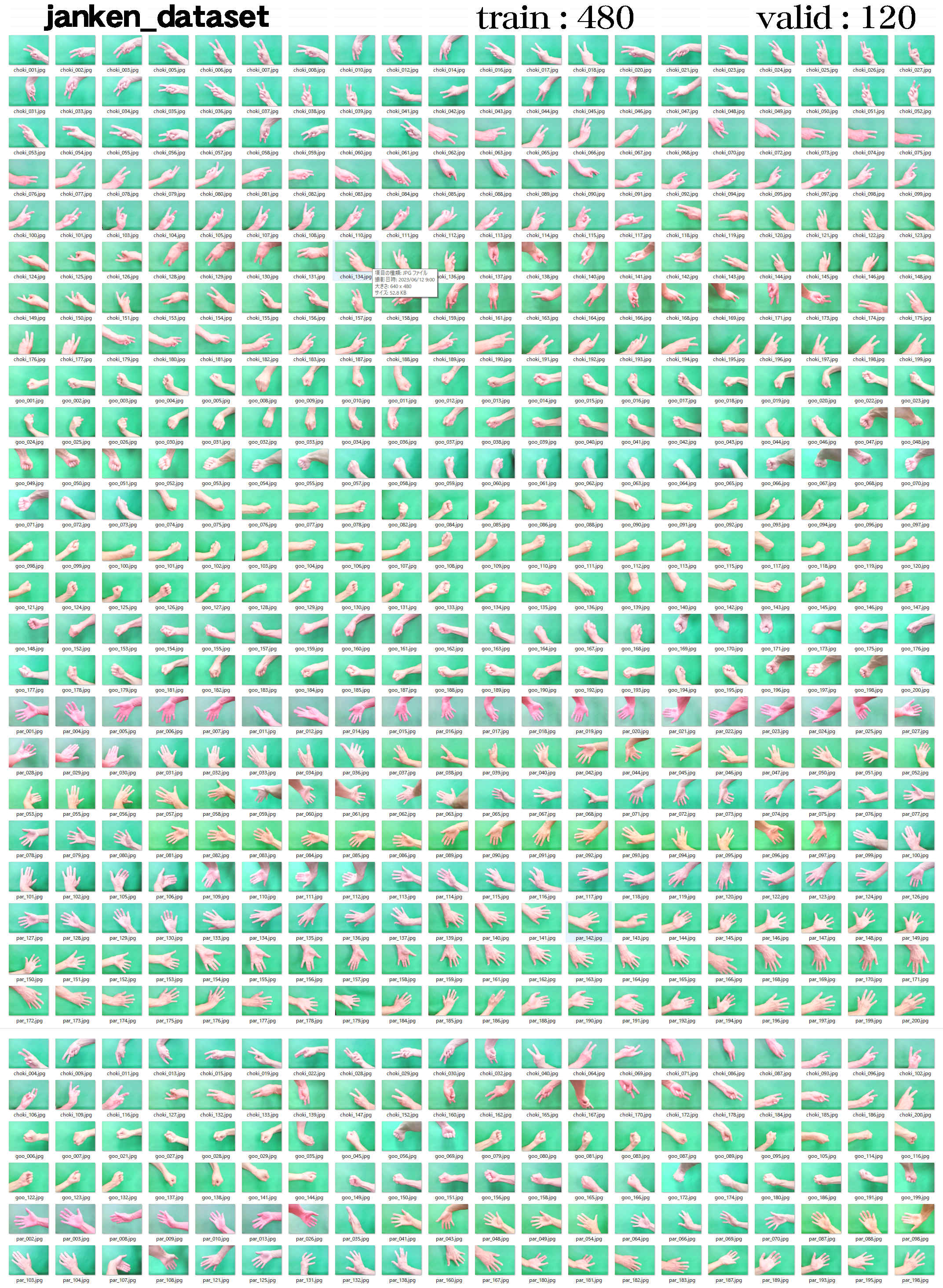 janken_dataset.jpg