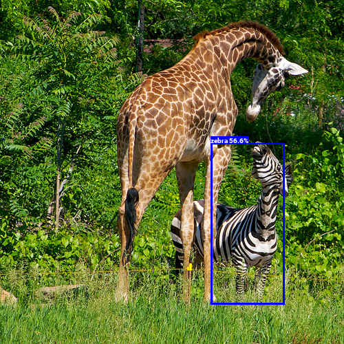 YOLOv3Tyny_output_giraffe_s.jpg