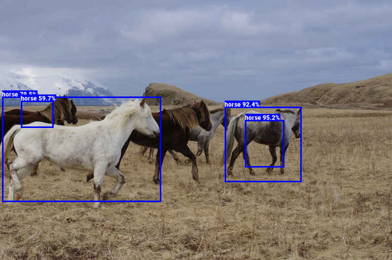 YOLOv3Tyny_output_horses_s.jpg