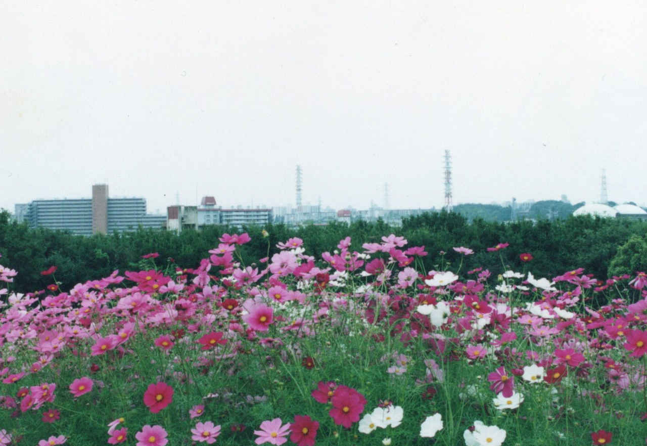 img_007_m.jpg