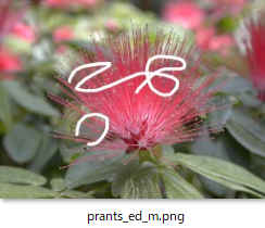 prants_ed_m.png