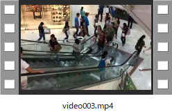 video003.mp4