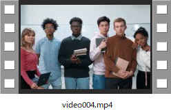 video004.mp4