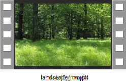 landscape_m.mp4