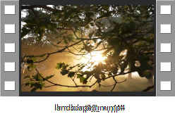 landscape2_m.mp4