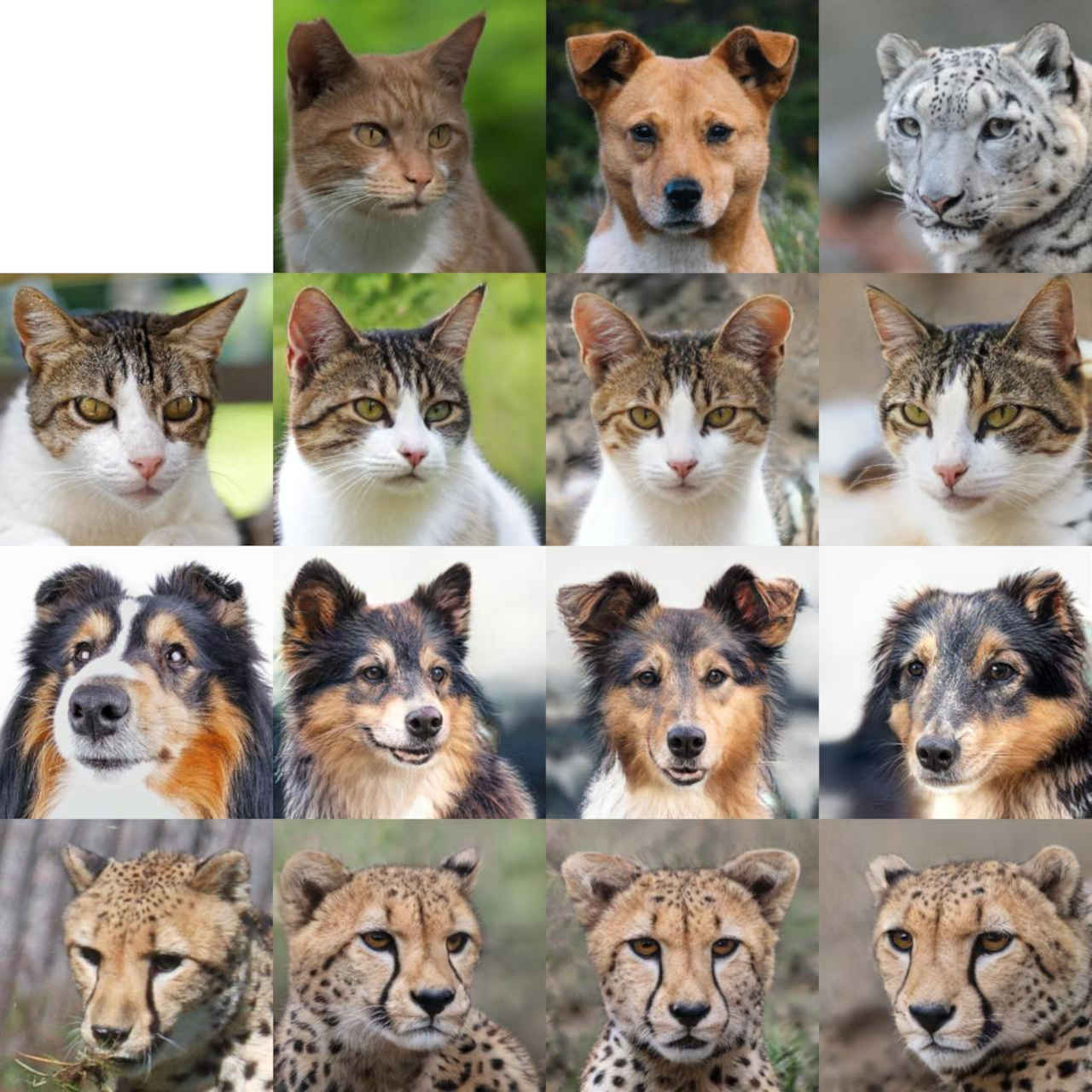 reference_0_af_m.jpg