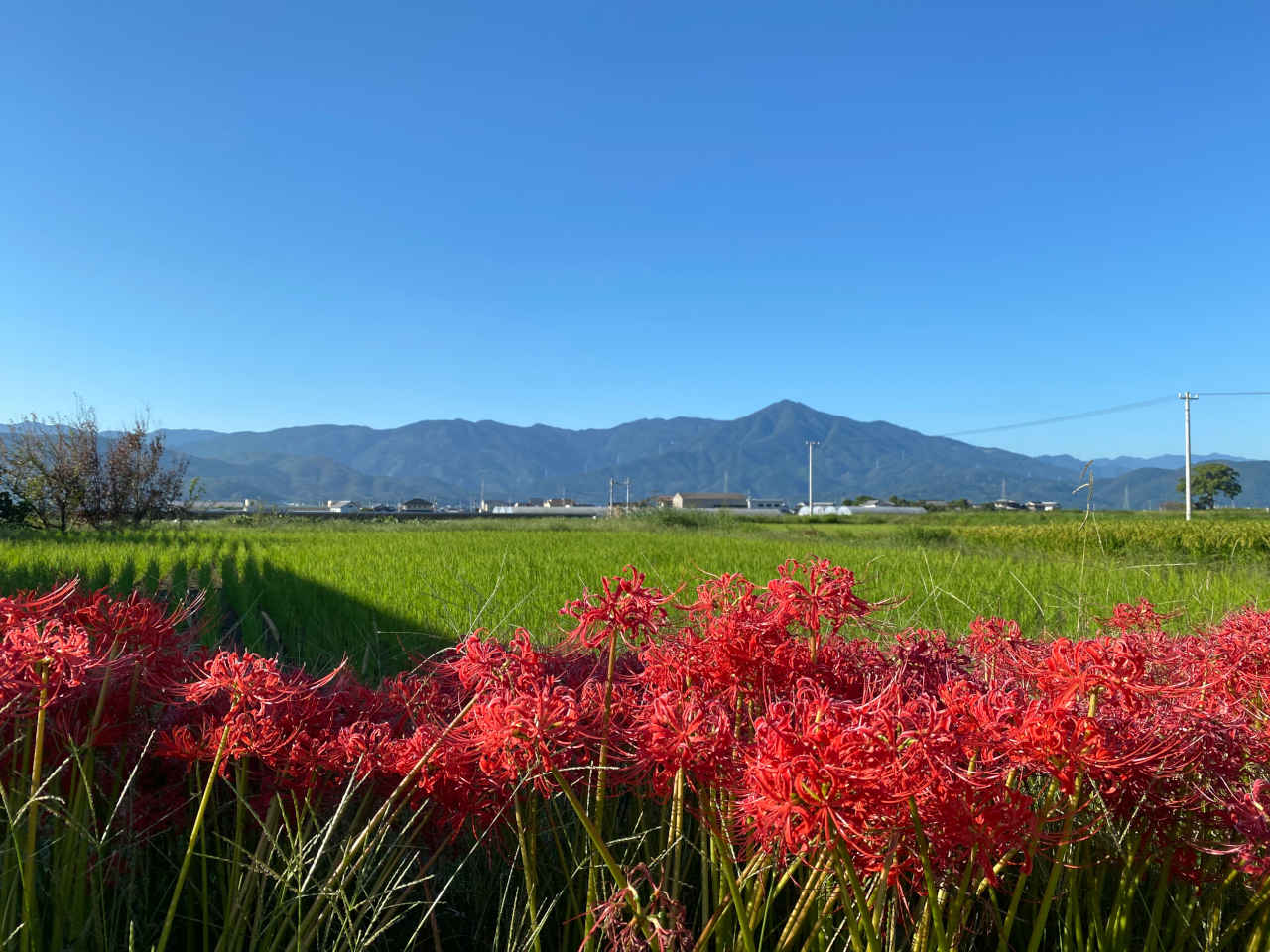 landscape_02_m.jpg