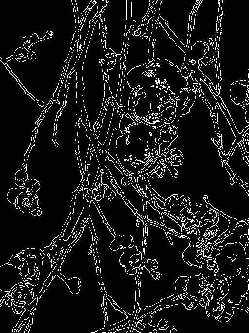 try_00330_m.jpg