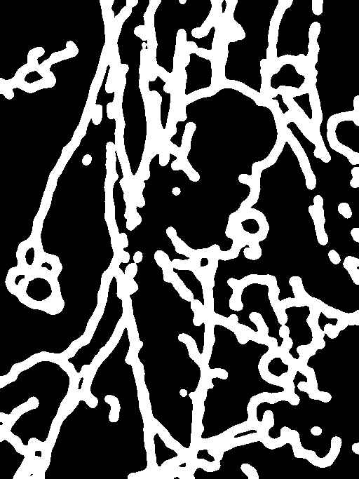 try_00340_m.jpg