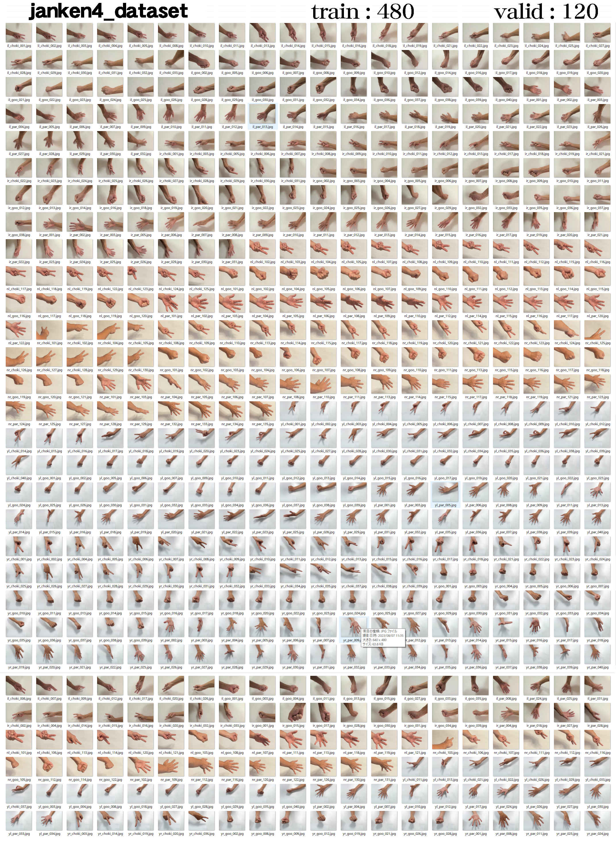 janken4_dataset.jpg
